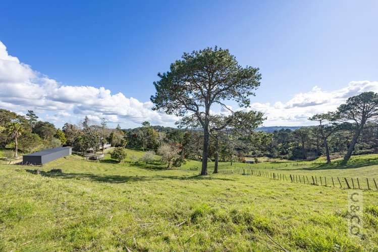 46 Potter Road Dairy Flat_78