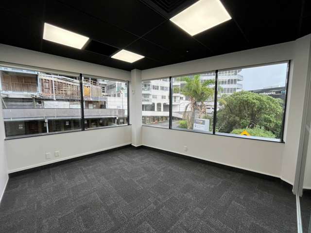 9A Hargreaves Street Freemans Bay_1