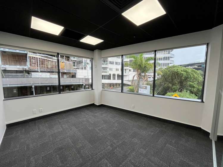 9A Hargreaves Street Freemans Bay_1