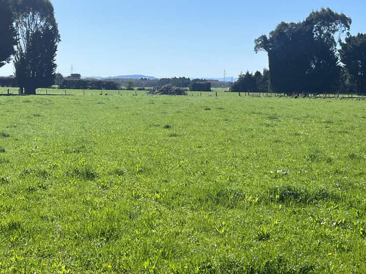 362 Lorne Dacre Road Roslyn Bush_13