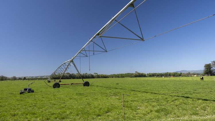 2556 State Highway 53 Martinborough_16