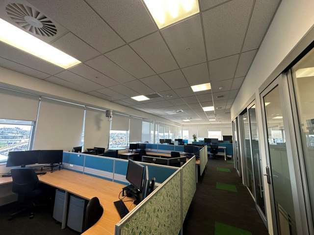 56 Cawley Street Ellerslie_3