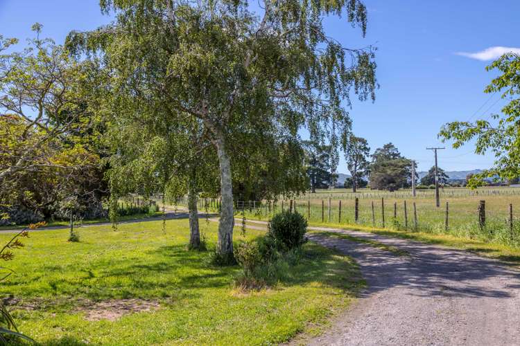 3509 State Highway 2 Carterton_7