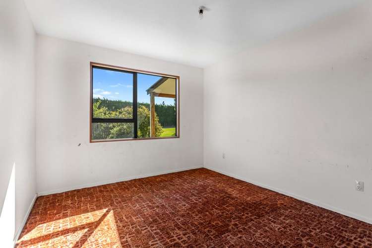 221 Smiths Road Leithfield_17