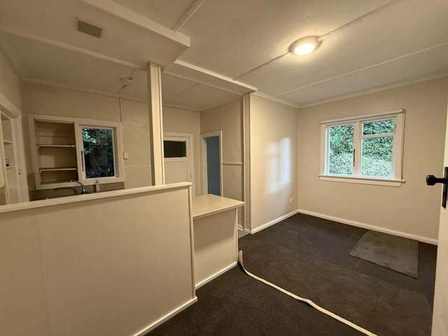 125 Maclaggan Street Dunedin Central_3