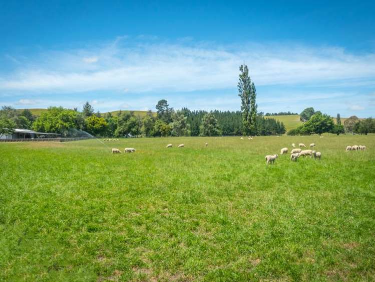 233 Raincliff Road Pleasant Point_10