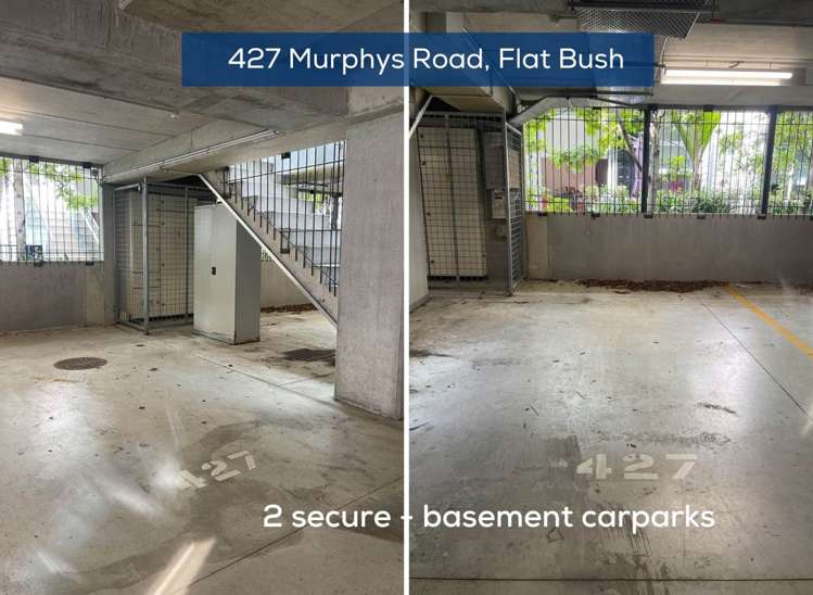 427 Murphys Road Flat Bush_11