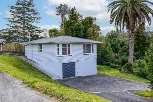 17 Hutchinson Ave New Lynn_1