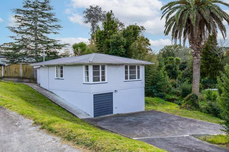 17 Hutchinson Ave New Lynn_1