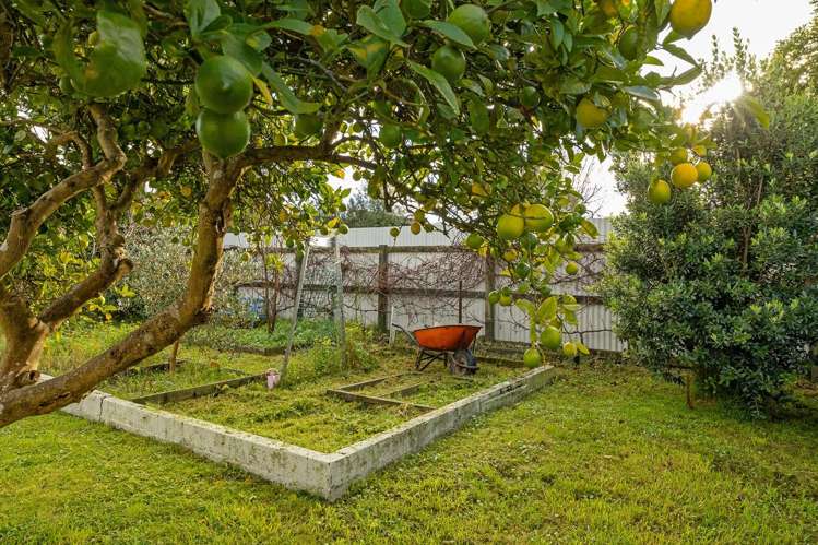 3 Tait Crescent Featherston_16