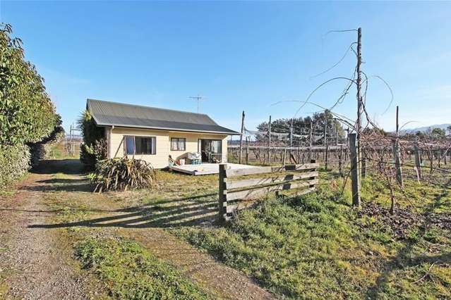 79 King Edward Street Motueka_2