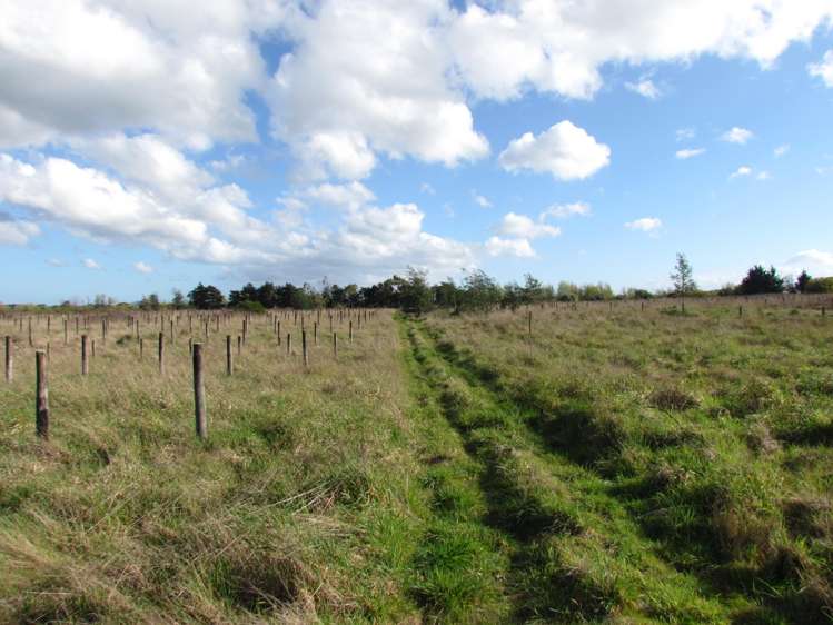 119 Solway Crescent Solway_17