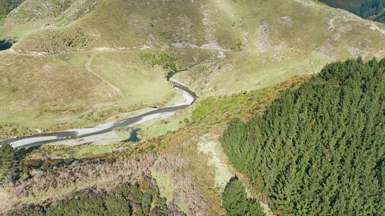 541 South Makara Road Makara_36