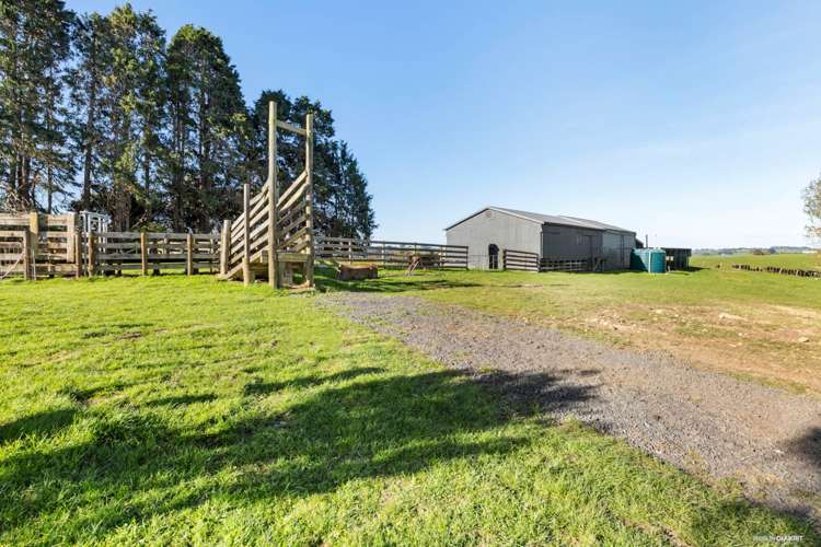 215 Allen and Eyre Road Onewhero_4