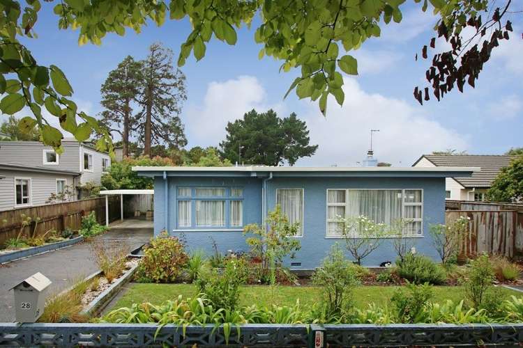 28 Rainforth Street Roslyn_19