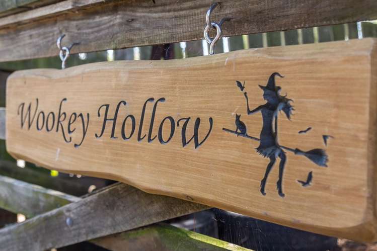 595 Wards Line Greytown_23