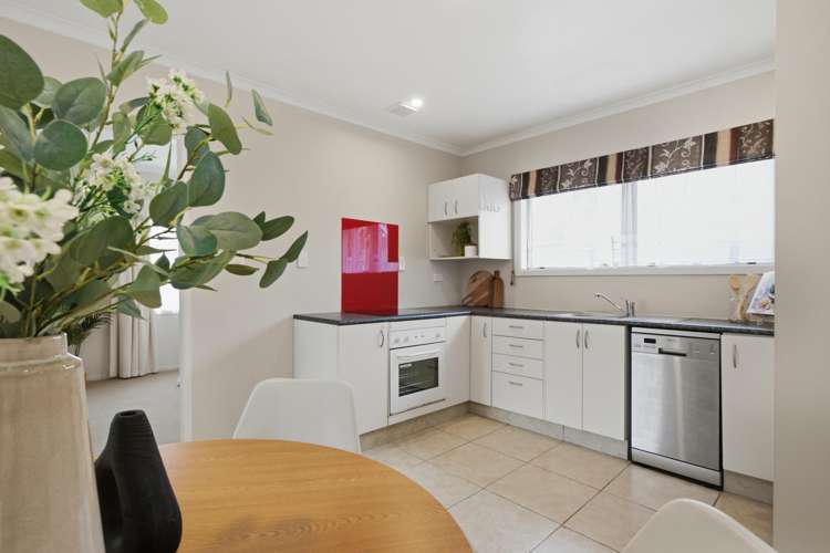 147 Vale Street Otumoetai_7