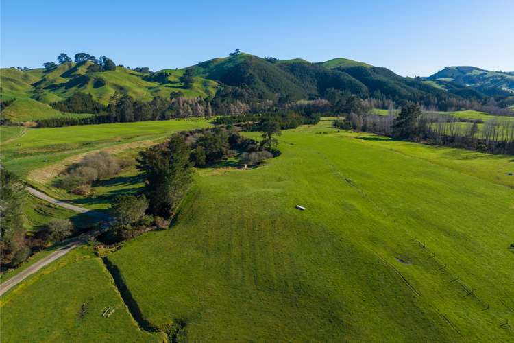 1038 Te Kopia Road Waikite Valley_14