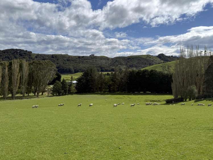 2207 Otautau Tuatapere Road Pukemaori_5