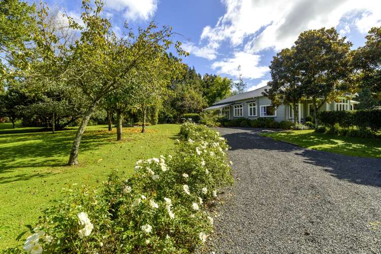 356 Belk Road Omanawa Western Bay Of Plenty Houses for Sale One