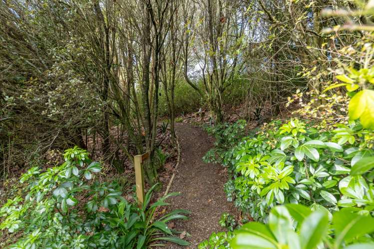 29B Rowe Road Whatawhata_25