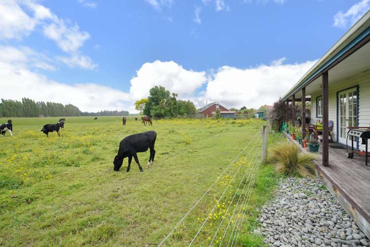 101 Kings Road Leithfield_5