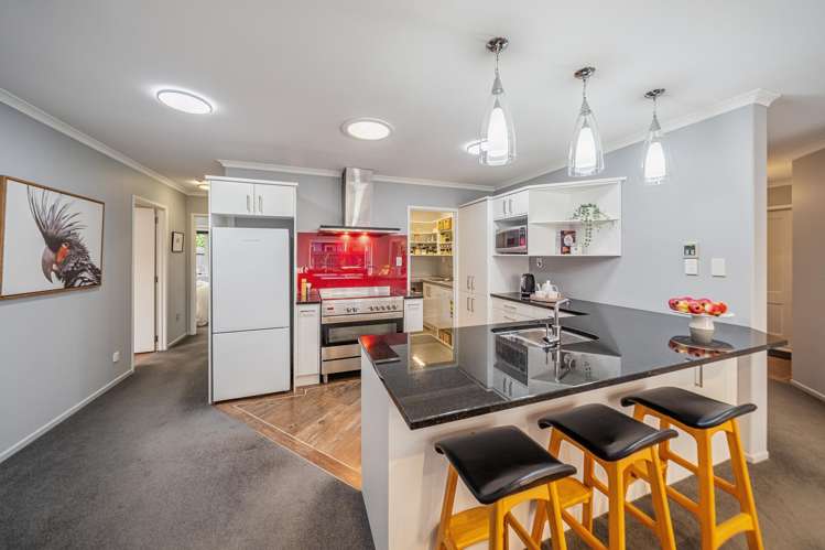 14 Pokaka Street Birchville_5