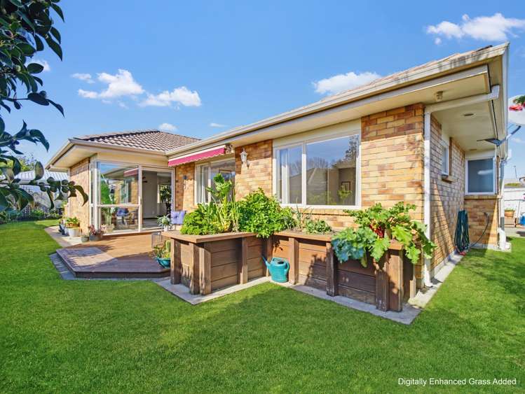 6A Barry Avenue Whakatane_28