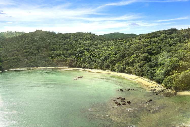 216 Matapaua Bay Road Opito Bay_13