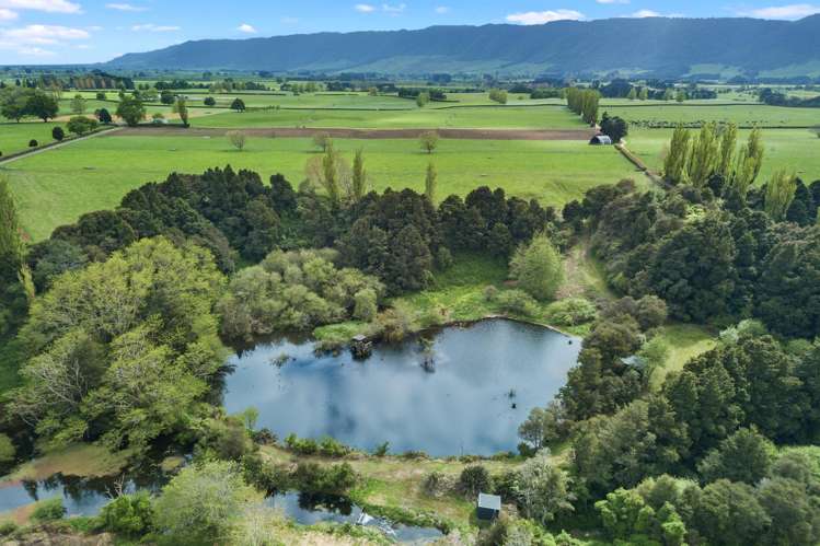 72 Harding Road Turangaomoana_17