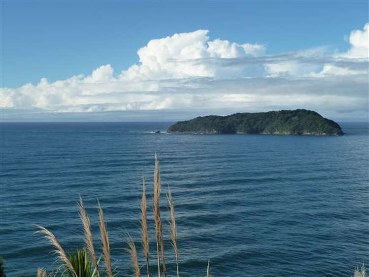 13 Pacific Drive Tairua_26