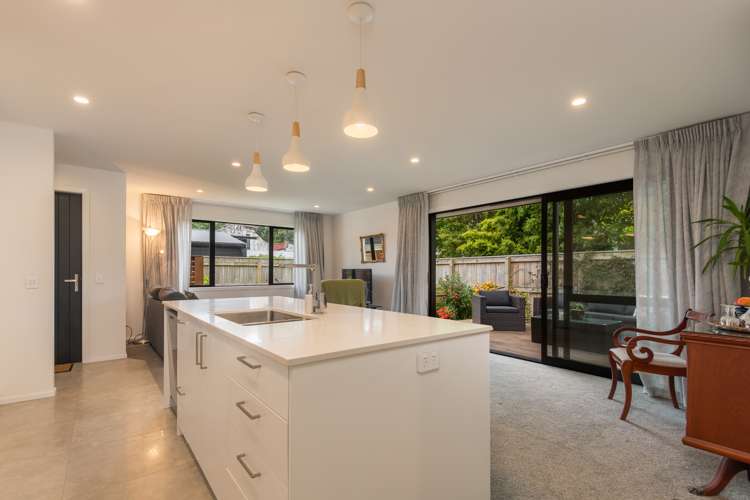 28a Alfred Street Roslyn_5