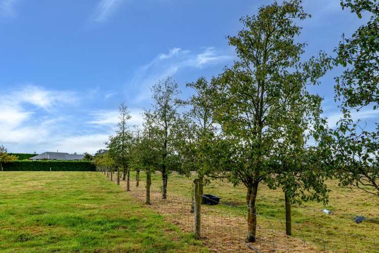 94 Windsor Drive Kirwee_5