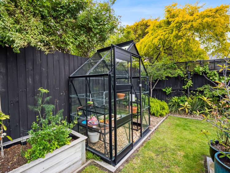 50 Wiggins Street Sumner_22