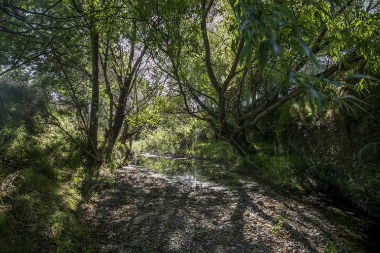 652 Makino Road Feilding_18