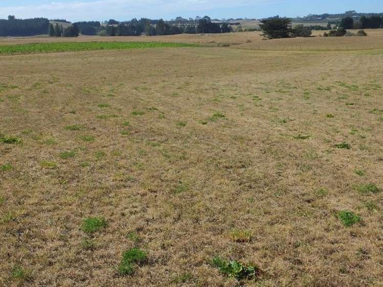 294 Parsons Road Weston_2