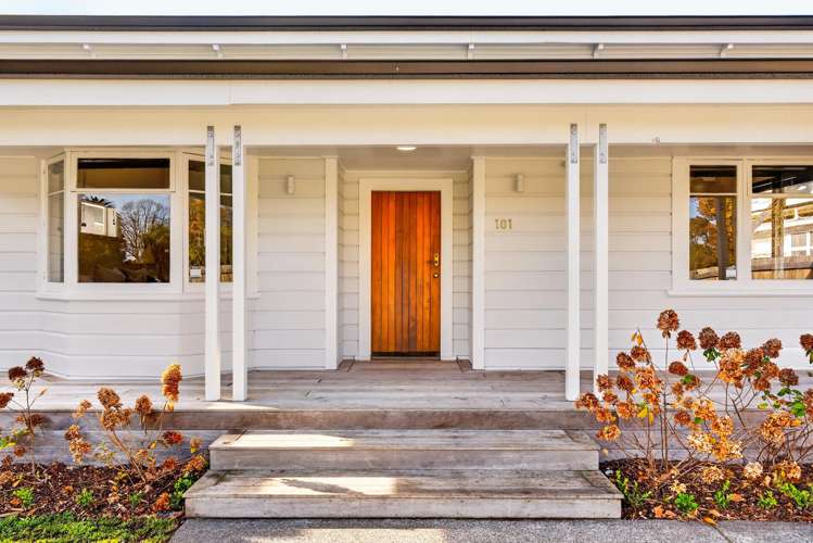 101 Georges Drive Napier South_23
