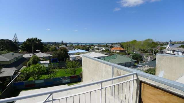 7b Raymond Street Point Chevalier_1