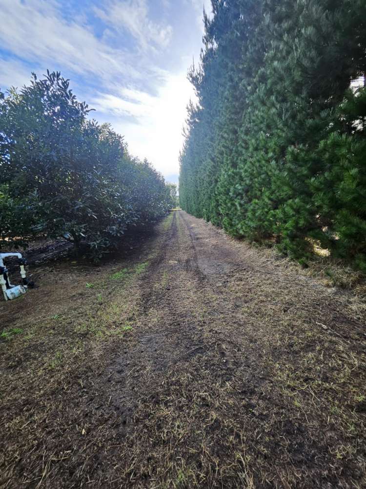 Heath Road Waiharara_15