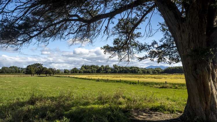 167 Ponatahi Road Martinborough_6