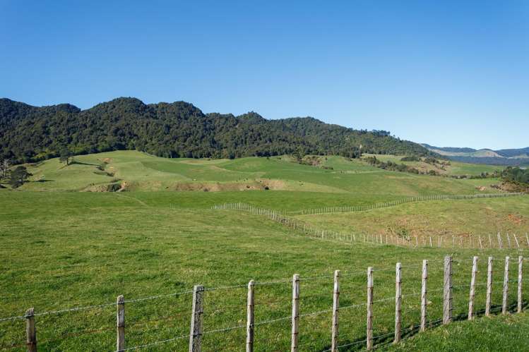 134 Old Te Aroha Road Te Poi_40