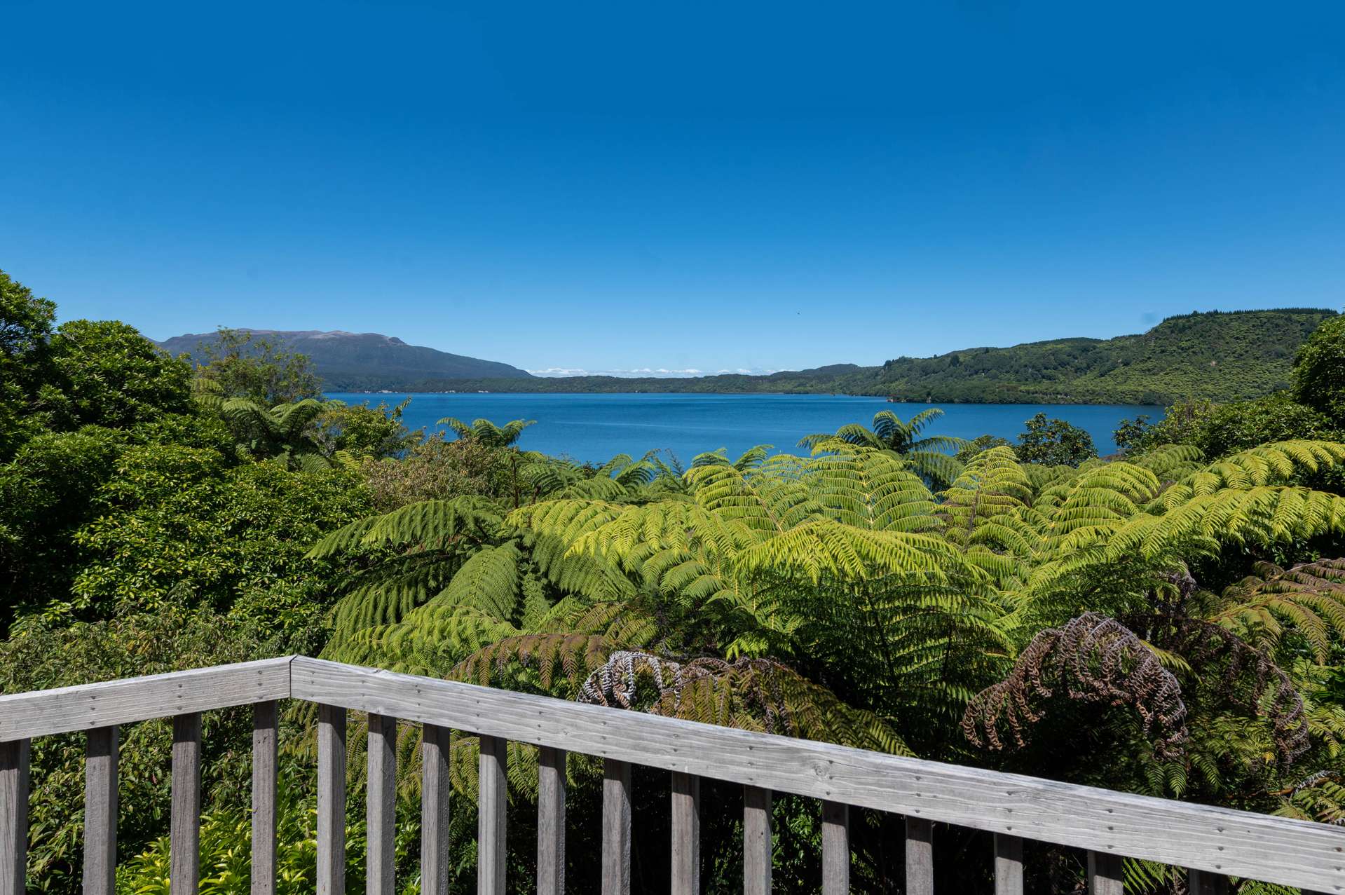 33 Spencer Road Lake Tarawera Rotorua Houses for Sale One Roof