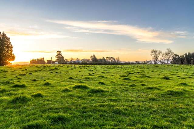 934 Oxford Road Fernside_4