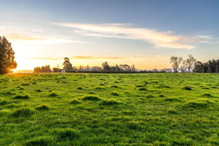 934 Oxford Road Fernside_4