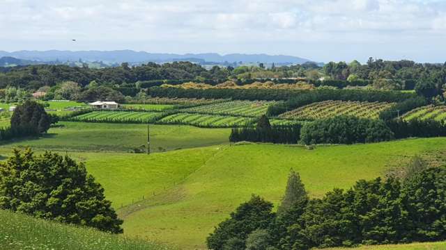 Curd Road Maungakaramea_1