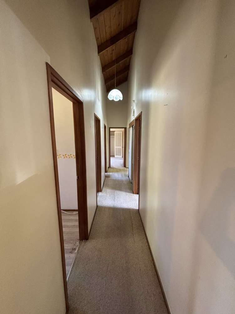 31/Meryl Avenue Kumeu_6