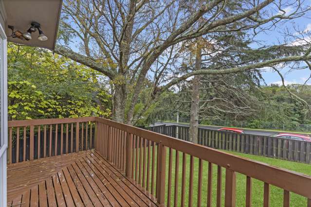 197 Abbotts Way Remuera_2