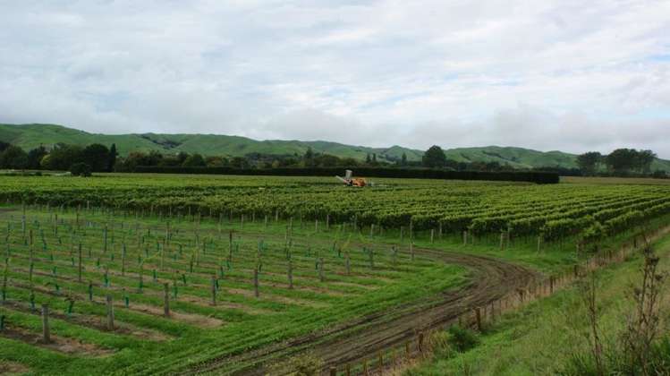 483 Dartmoor Road Puketapu_8