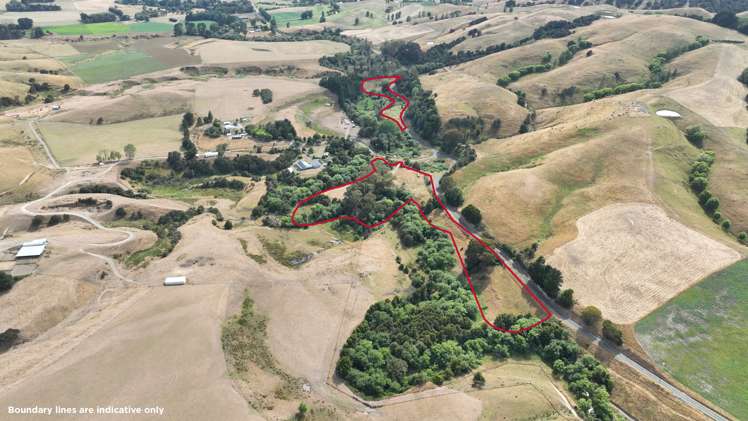 599c Longbush Road Martinborough_22