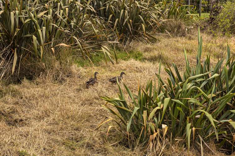 170a Abbey Caves Road Abbey Caves_10